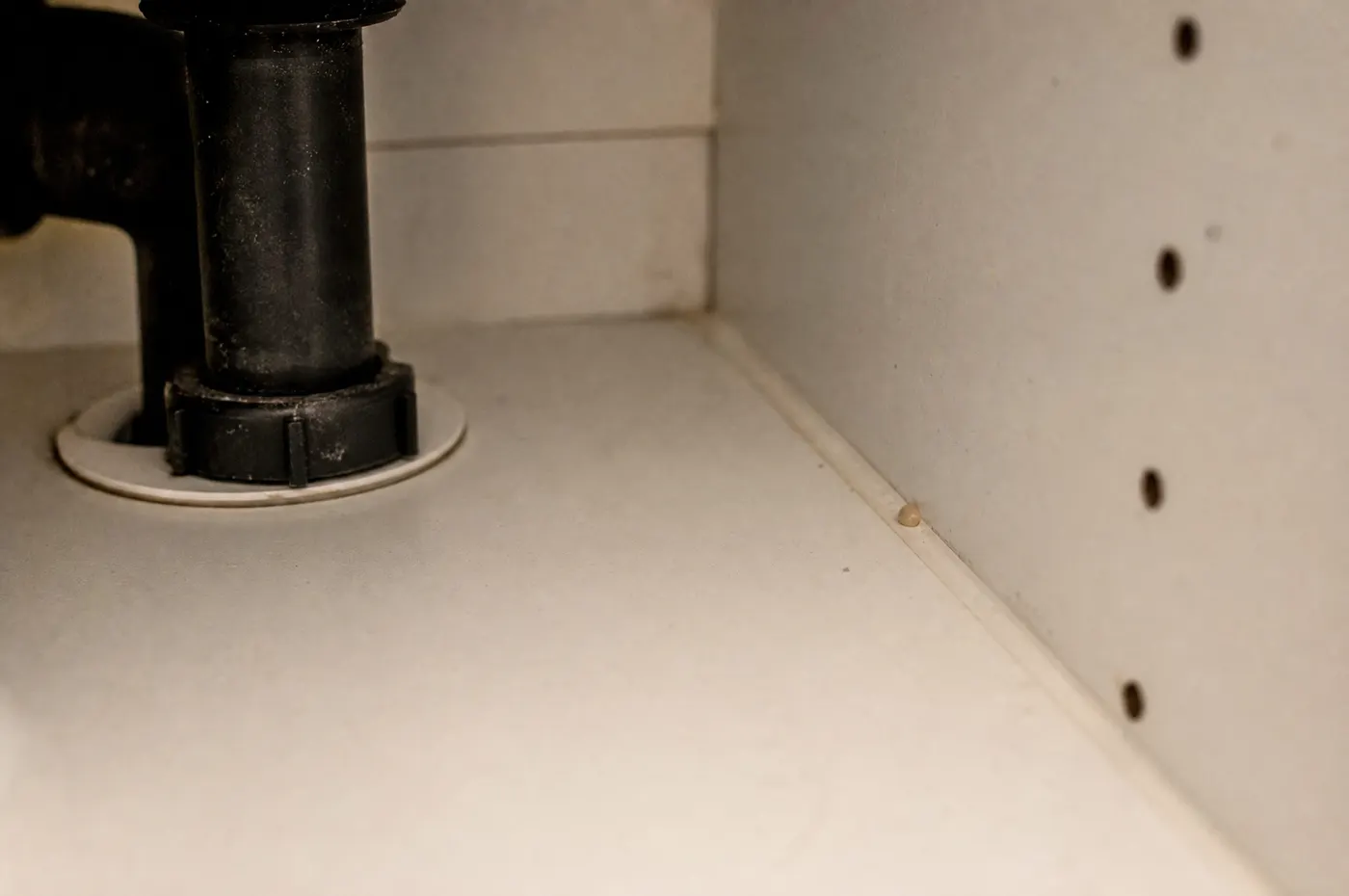 Small discreet gel bait placements along a protected kitchen cabinet seam