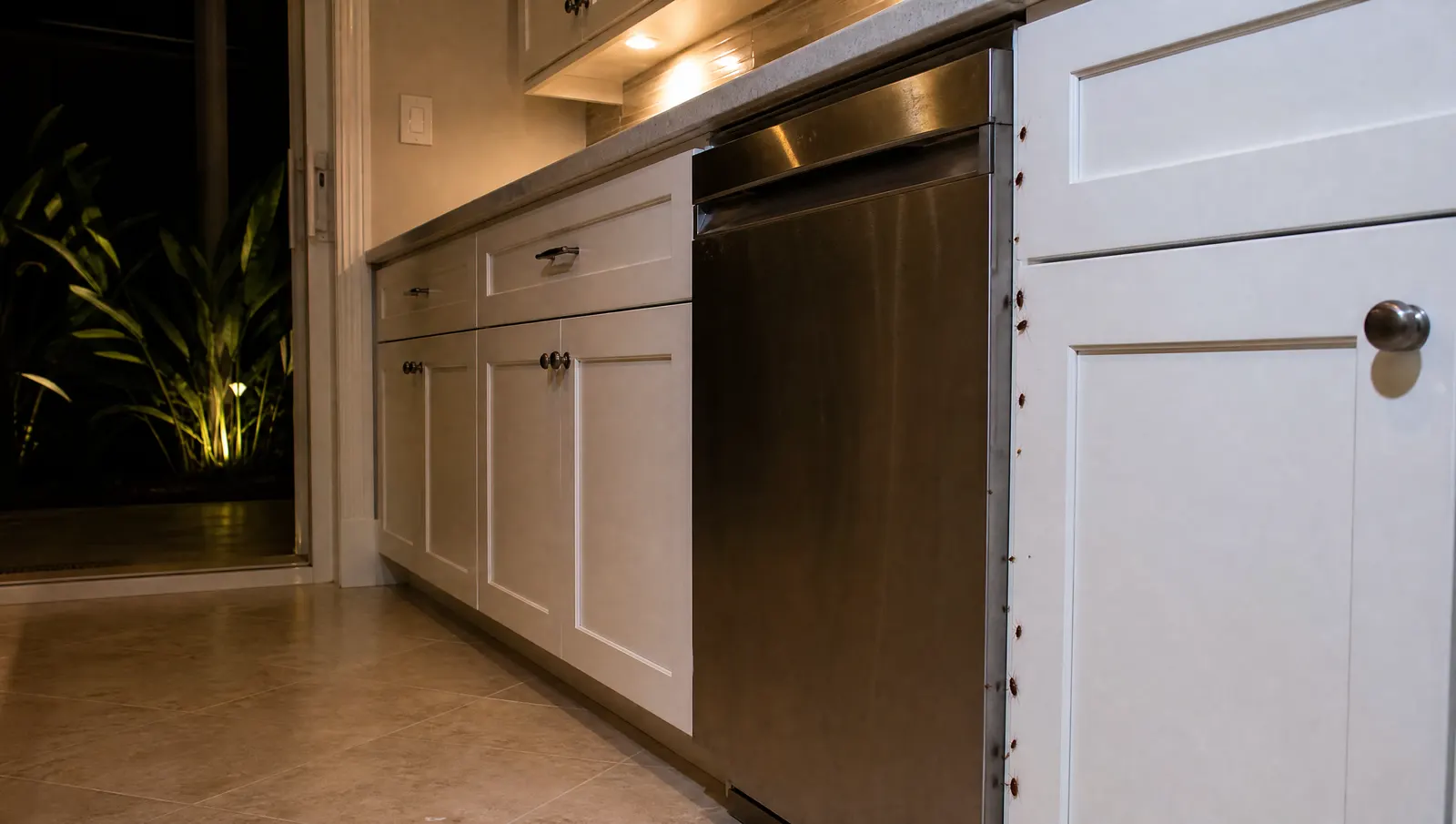 Does Advion Actually Work? What the Pros Use and Why It Still Fails editorial photograph in a South Florida home or yard