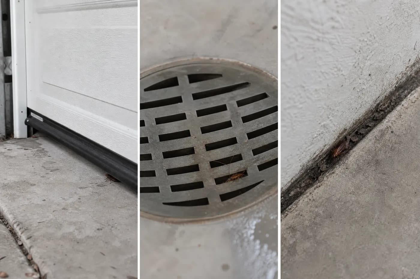 Garage door sweep, drain and damp foundation edge showing common Florida roach entry conditions