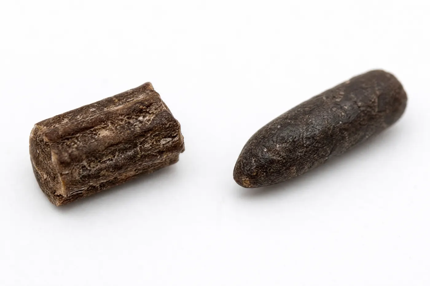 Blunt ridged cockroach pellet and smooth tapered mouse pellet shown in sharp macro detail