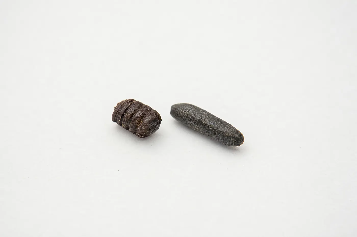One blunt ridged cockroach dropping beside one longer smooth tapered mouse dropping on a plain surface