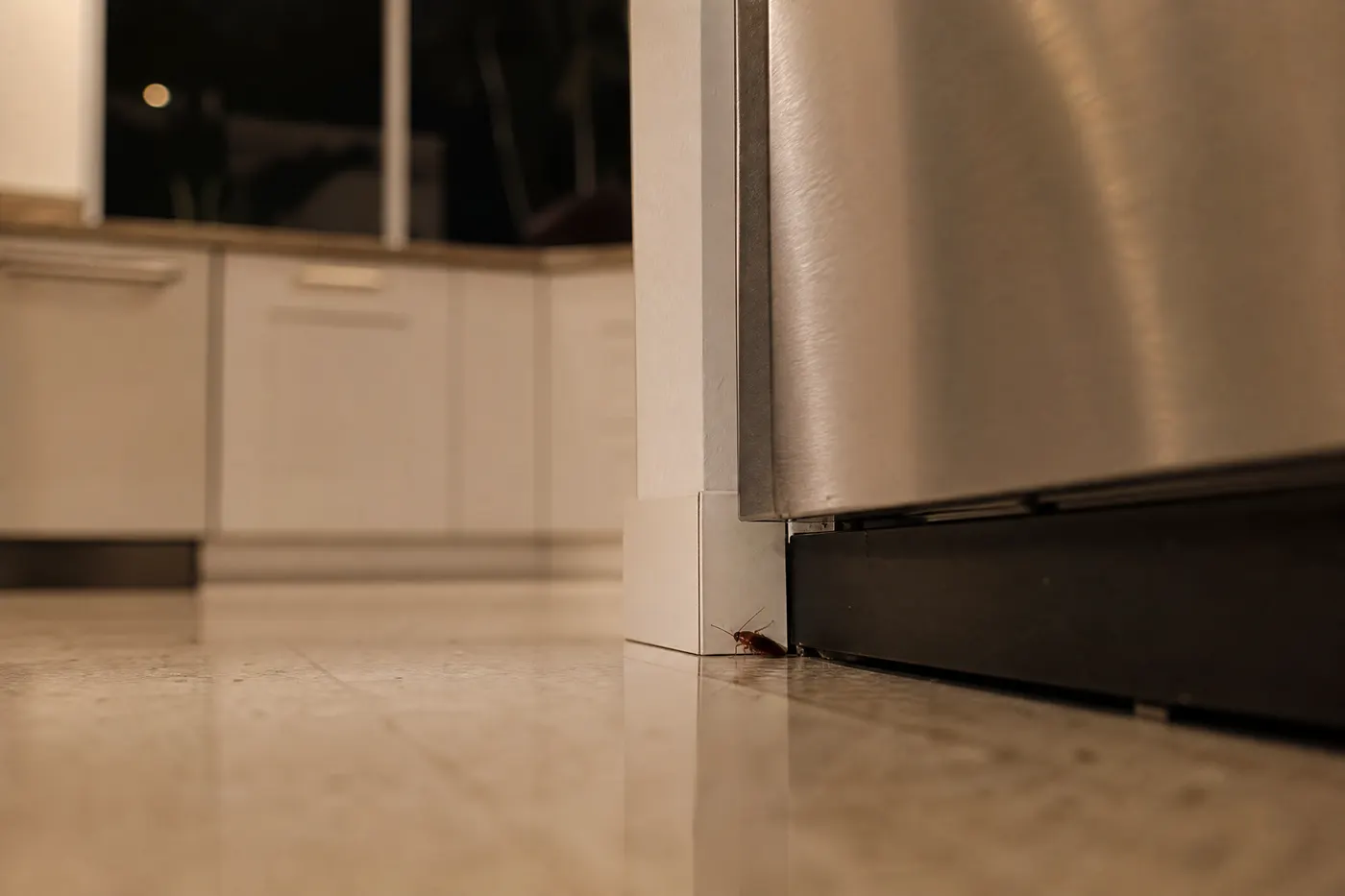Small cockroach route returning beside a dishwasher in a clean kitchen at night