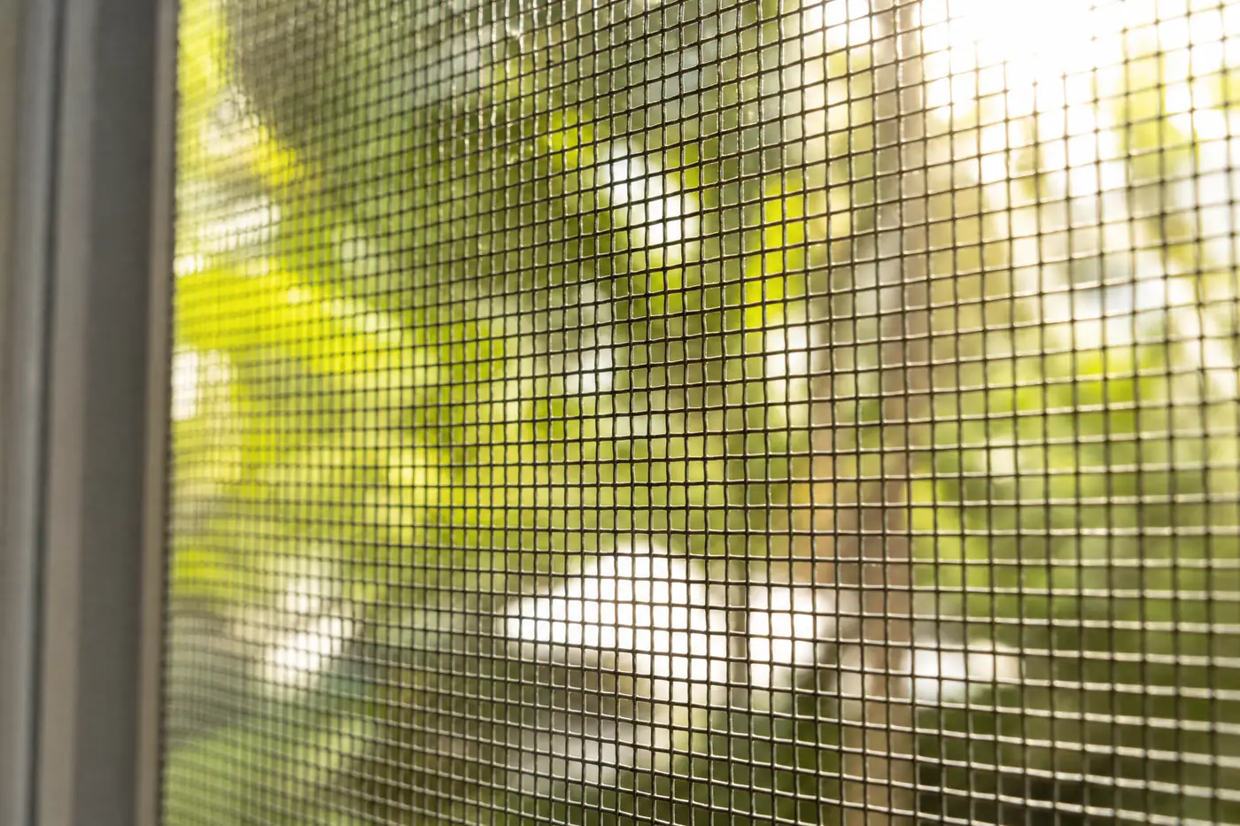 Close-up of standard 18x16 window screen mesh, whose openings are wide enough for a biting midge to pass through