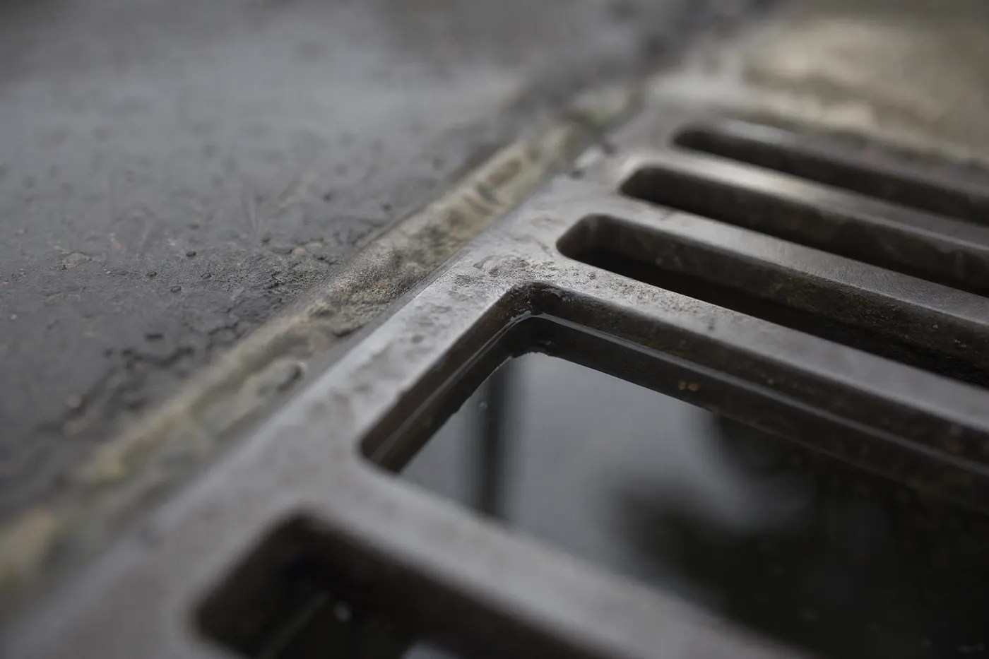 Close-up of a cast-iron storm drain grate set into damp pavement, with the dark catch basin visible through the bars