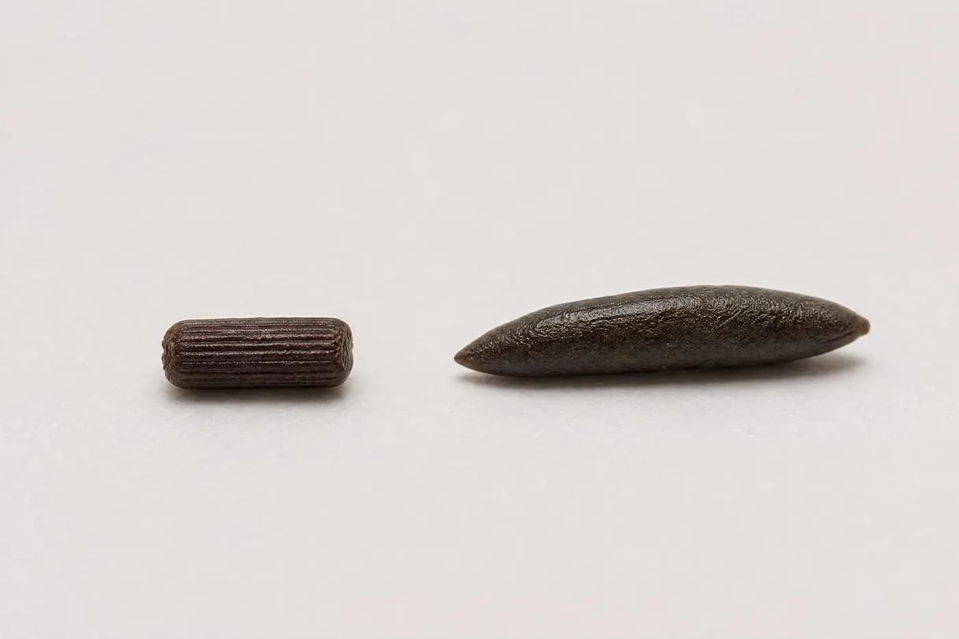 Macro comparison of two droppings side by side on a plain off-white surface: on the left a short cylinder, blunt at both ends with lengthwise ridges; on the right a longer, smooth one tapering to a point at each end