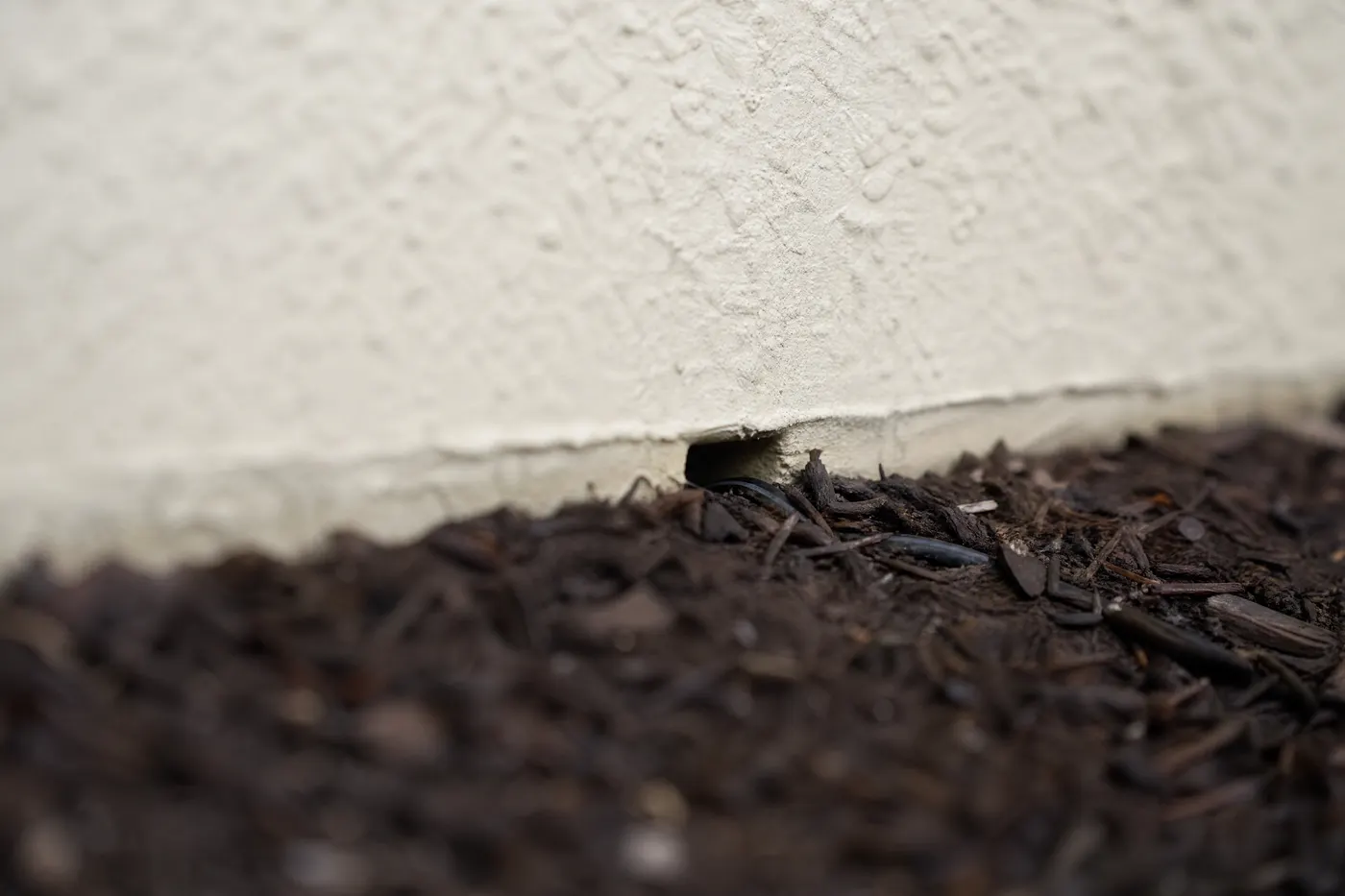 Dark mulch mounded against the pale stucco base of a house wall, reaching the level of a narrow weep-hole gap at the bottom of the wall