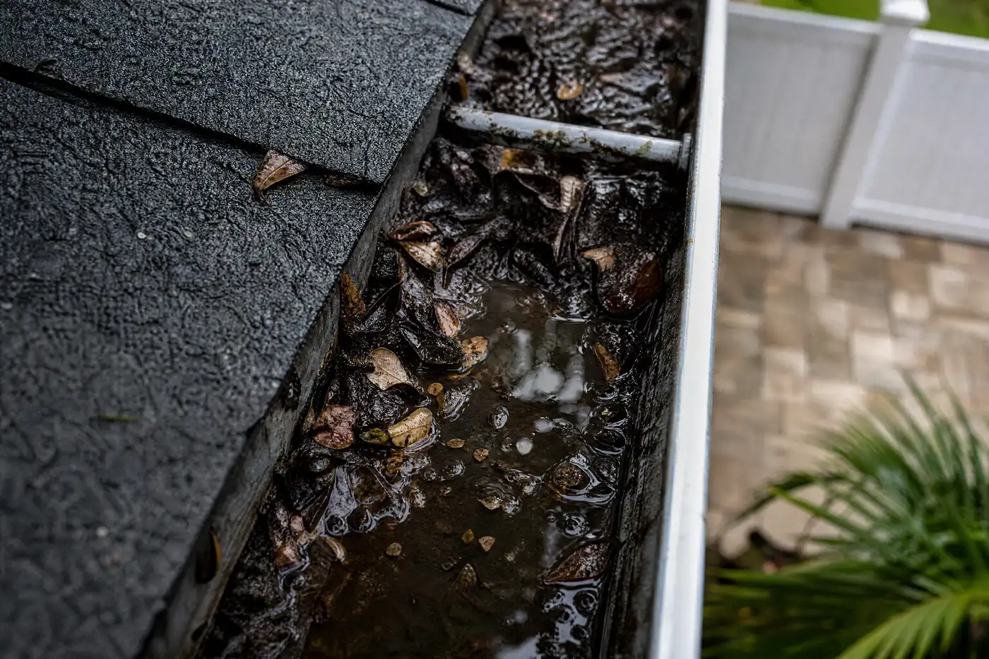 Roof gutter packed with wet leaves and debris holding standing water along the run